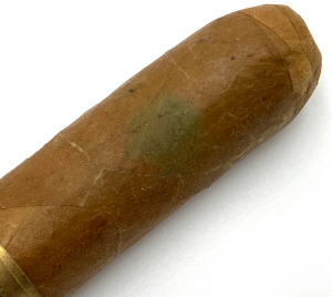 grüner Schimmel auf Zigarre