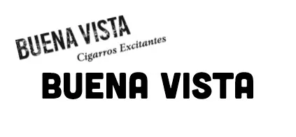 Buena Vista Logo und schwarzer Schriftzug