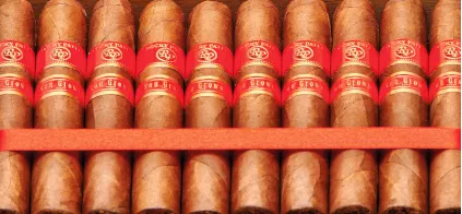 Zehn Rocky Patel Sun Grown Zigarren in liegen nebeneinander und werden von einem roten Seidenband zusammengehalten
