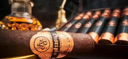 Rocky Patel Disciple Zigarren Rocky Patel Disciple Zigarren