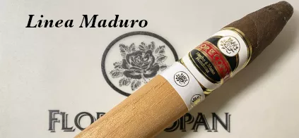 Flor de Copan Linea Maduro Zigarren