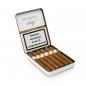 Preview: Davidoff Primeros Dominican Kiste weiß mit goldener Aufschrift, geöffnet