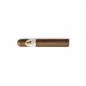 Preview: Davidoff Winston Petit Panetela Zigarre