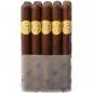 Mobile Preview: Rocky Patel Seed to Smoke Classic Churchill Bundle
