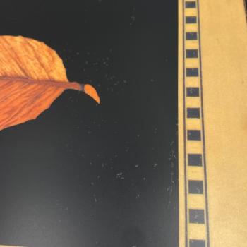 Preview: Humidor schwarz lackiert mit Blatt Lackmängel